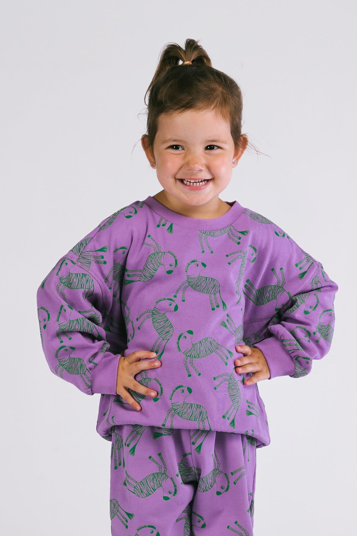 The New Chapter Bobbie Sweater Paars Zebraprint