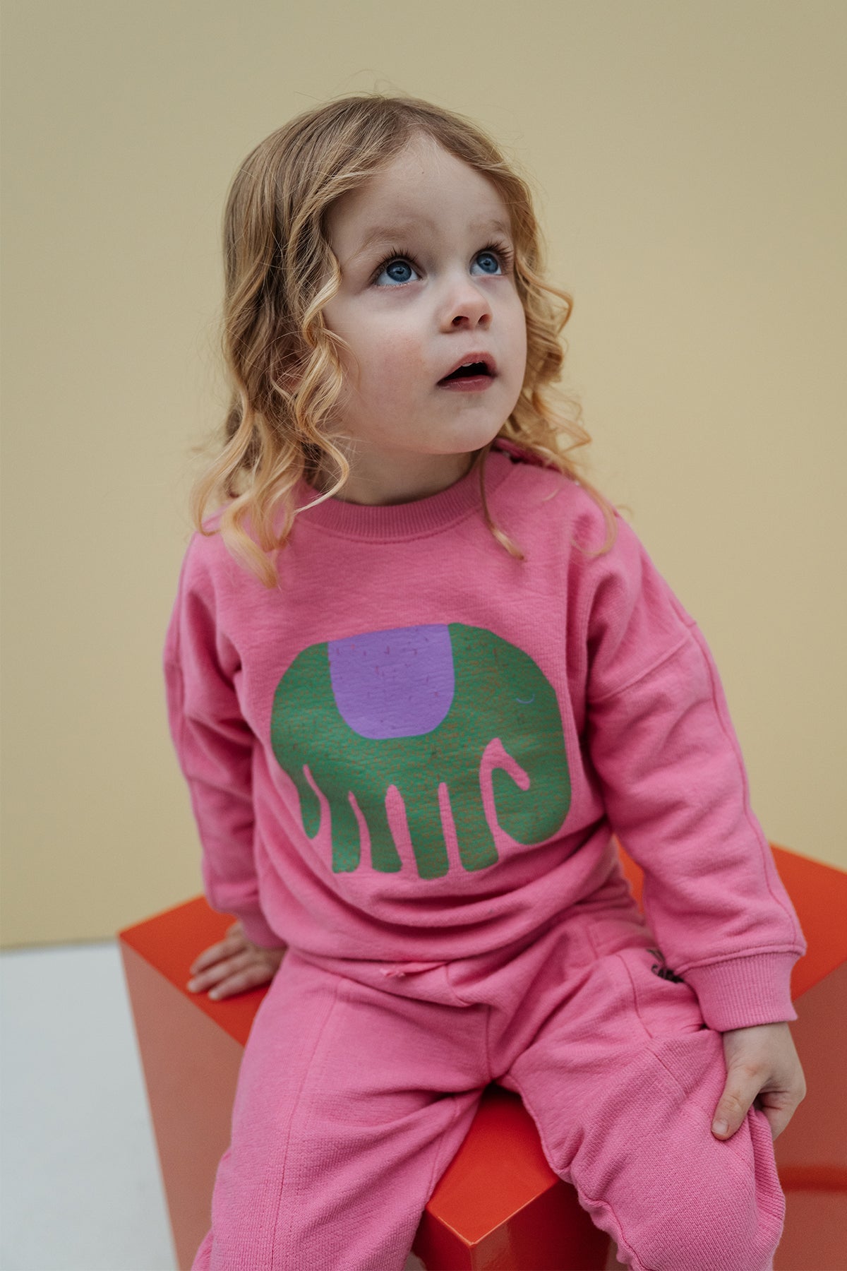 The New Chapter Bo Sweater Roze