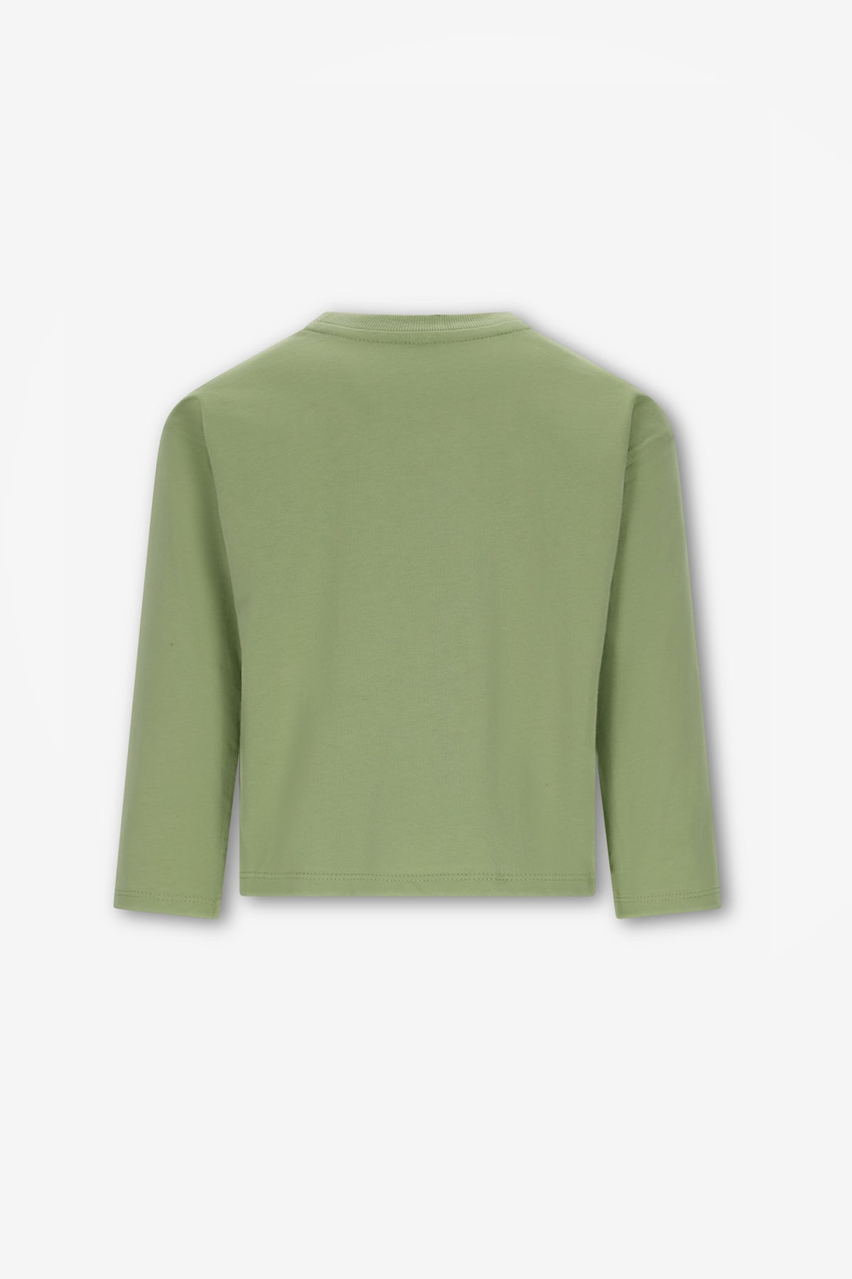 The New Chapter Lou Longsleeve Groen