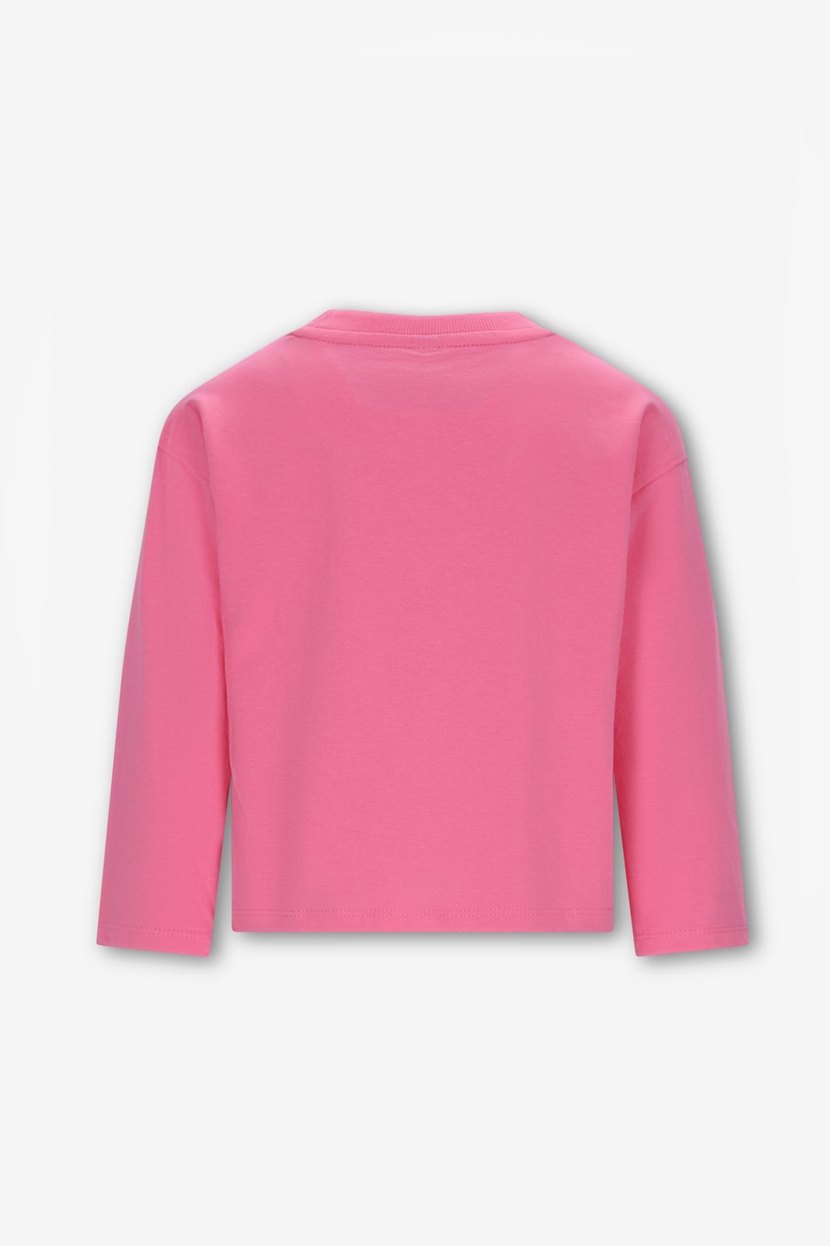 The New Chapter Mattie Longsleeve Roze