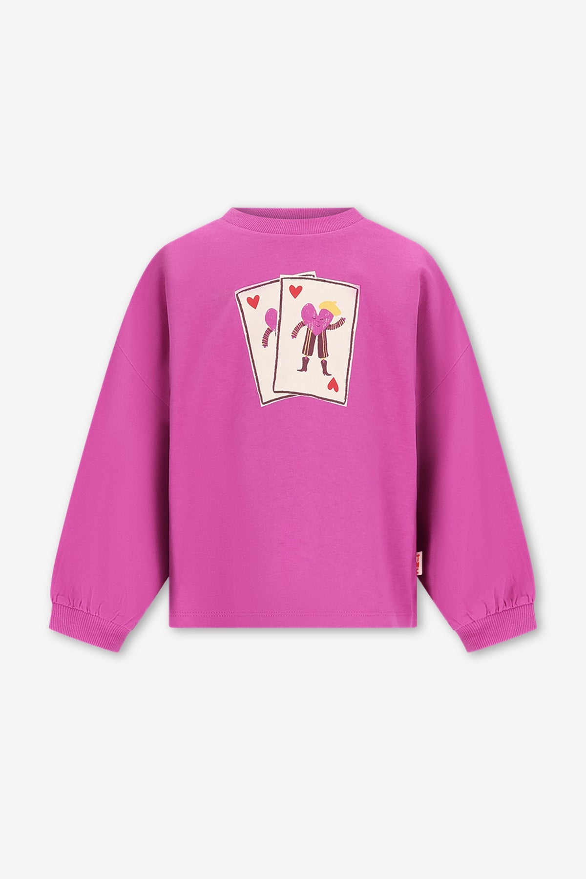 The New Chapter lou longsleeve roze full house