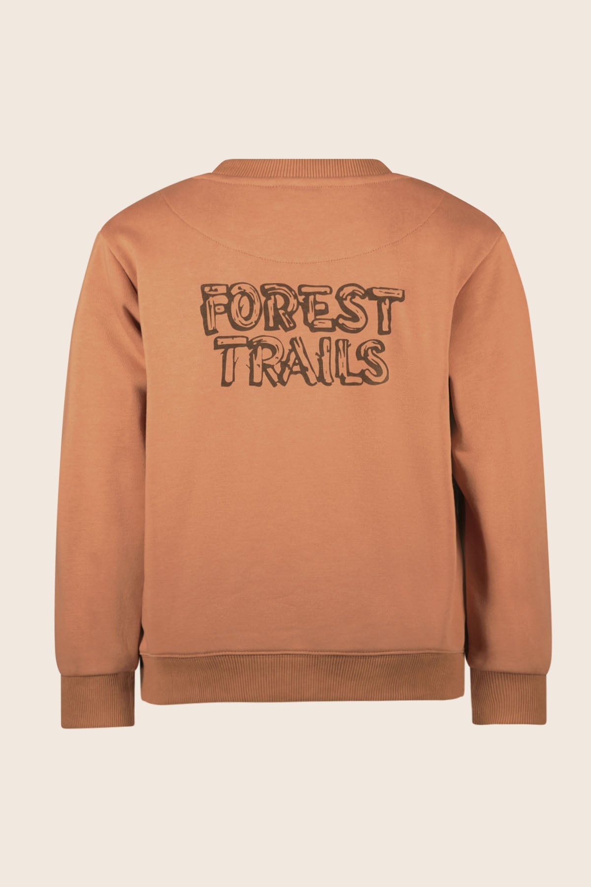 Like Flo Sweater Dailey Terra