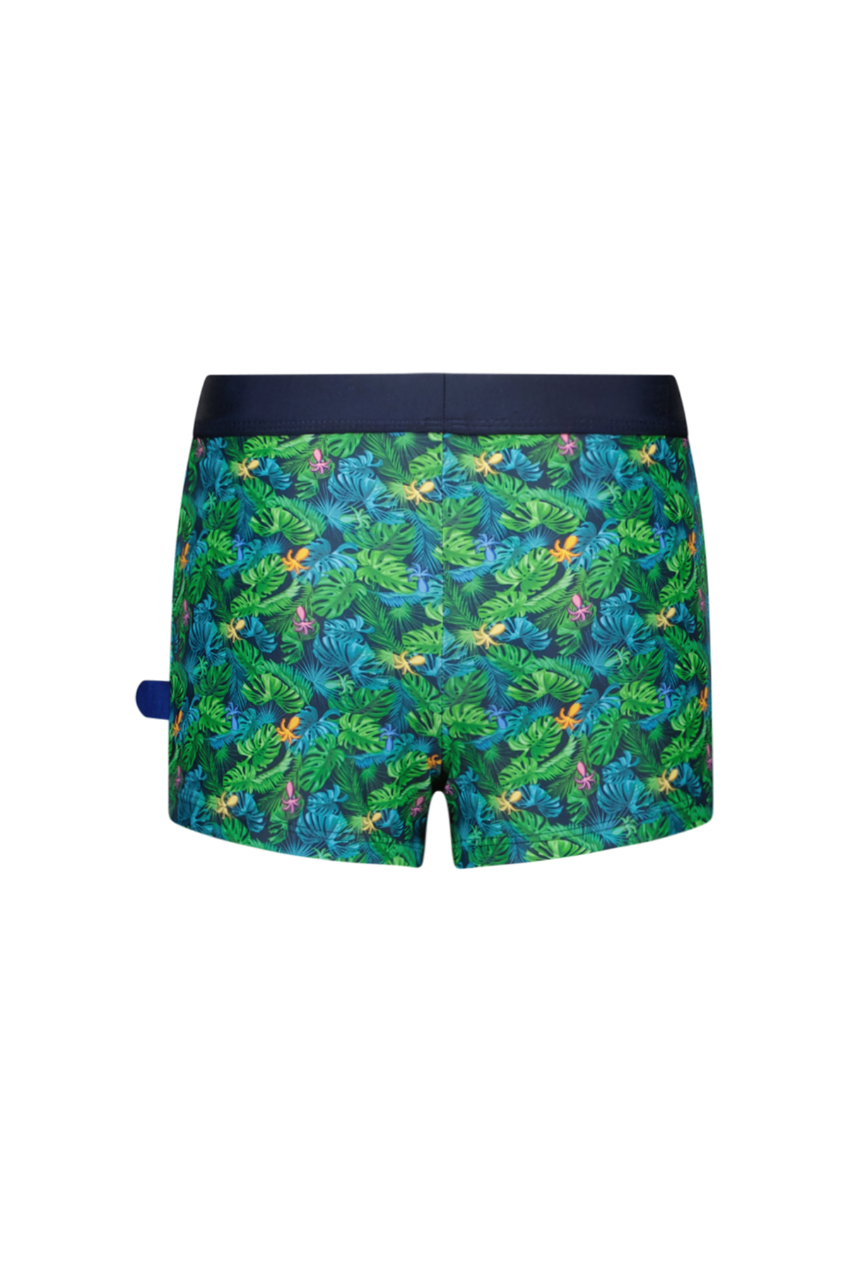 Just Beach Nevada swimshort Ocean Life