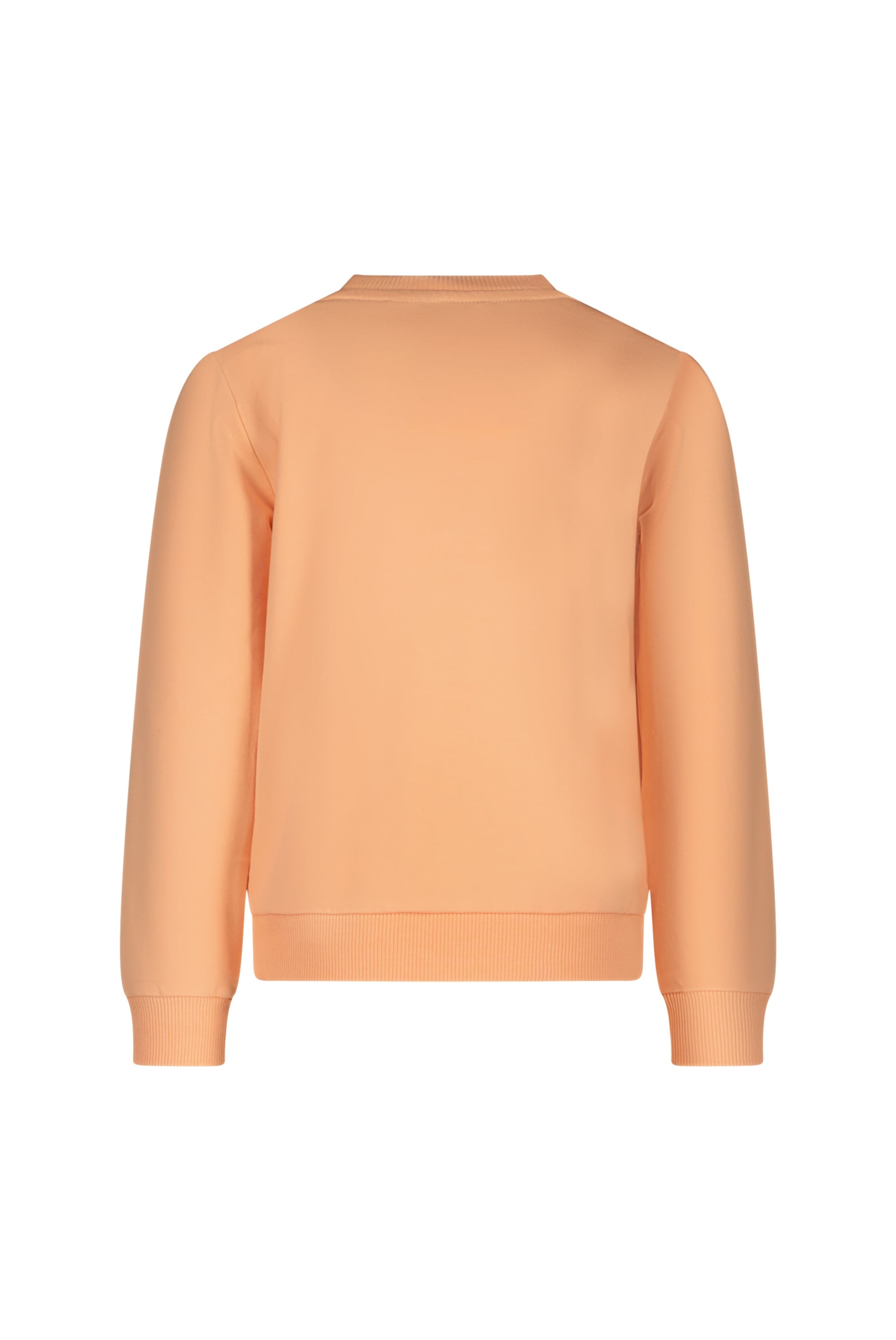 Le Chic Garçon ♦ OLIVER ♦ sauver l'ocean sweater