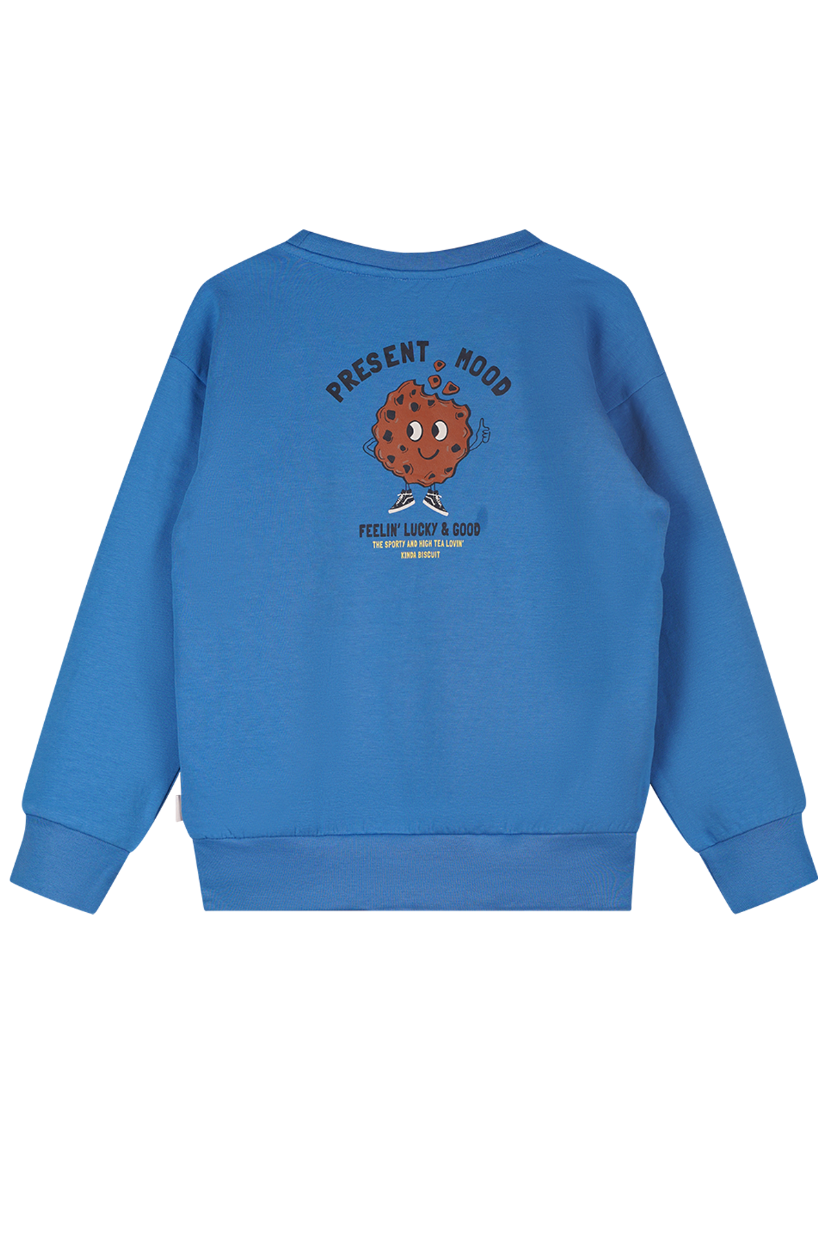 Moodstreet SKY sweater blue