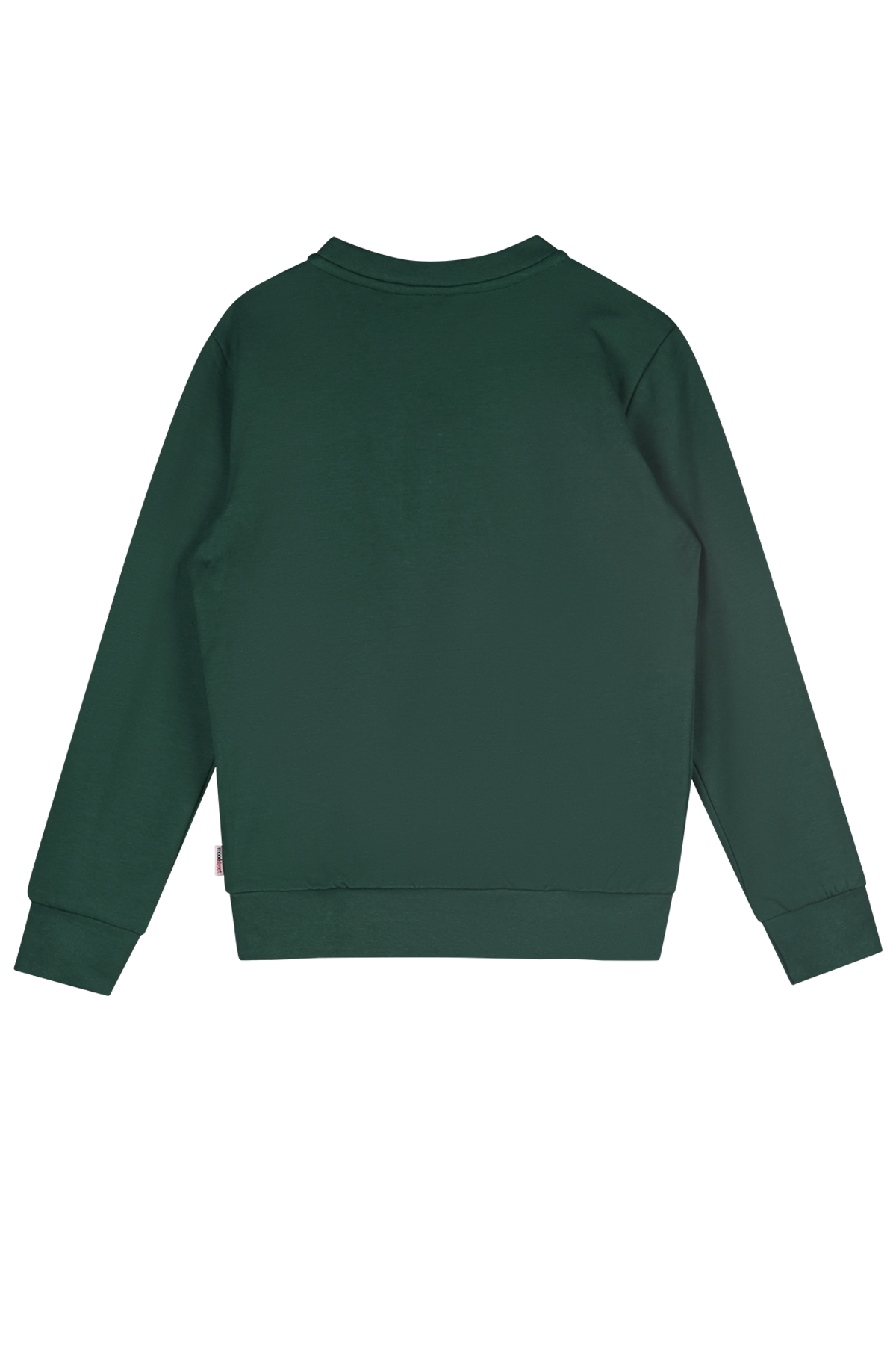 Moodstreet SEV sweater forest green