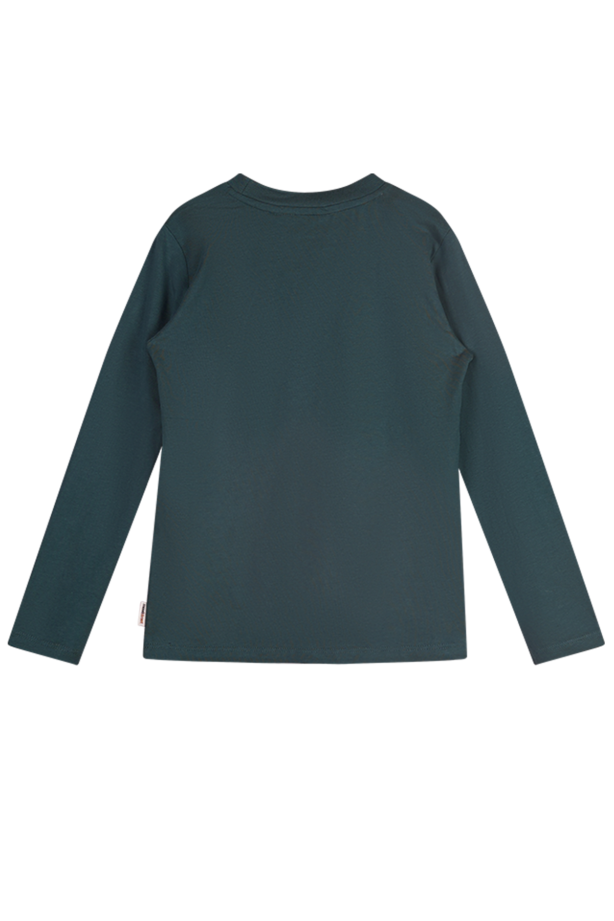 Moodstreet LOEK longsleeve forest green