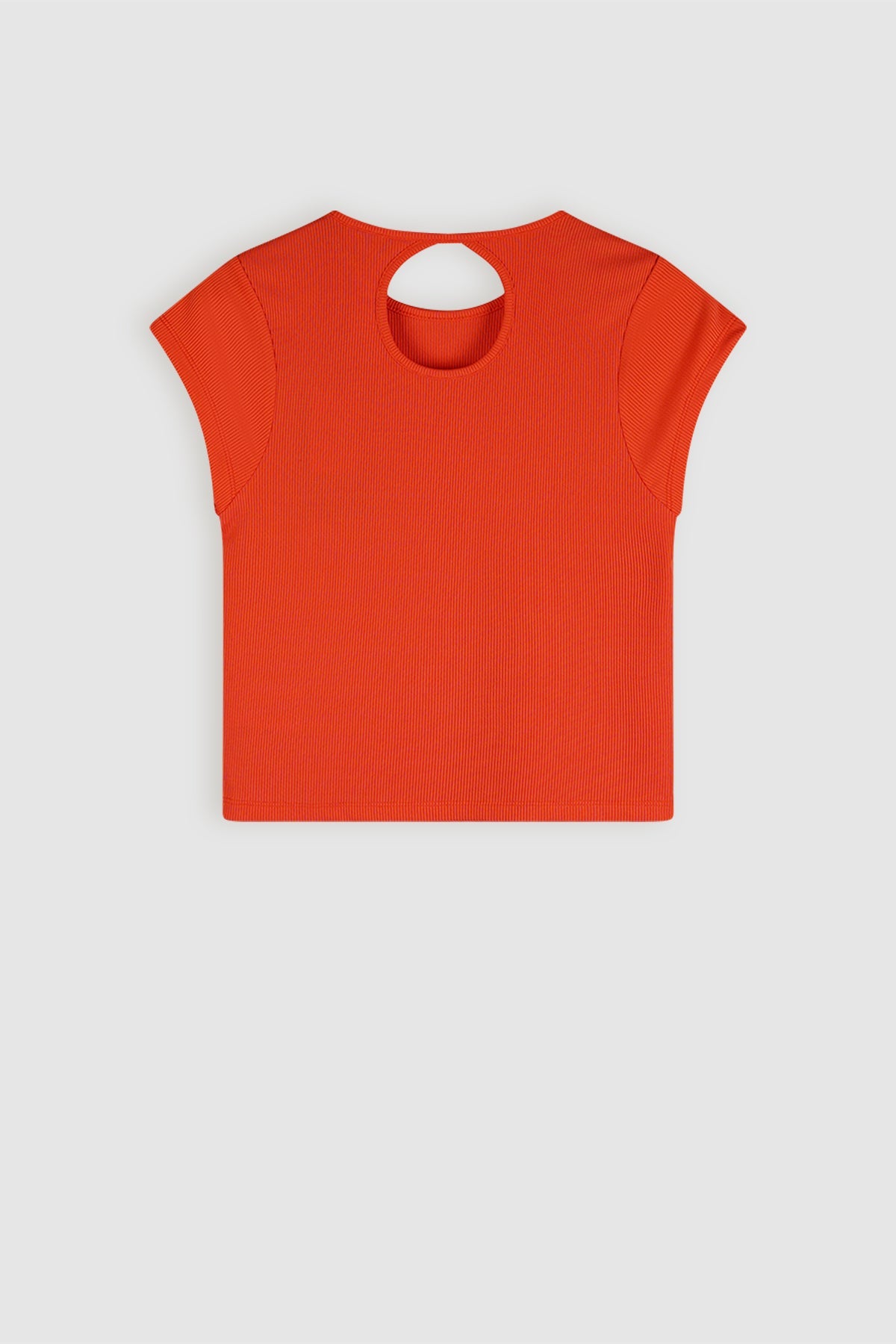 NoBell' Kit Rib Crop Top Koraal