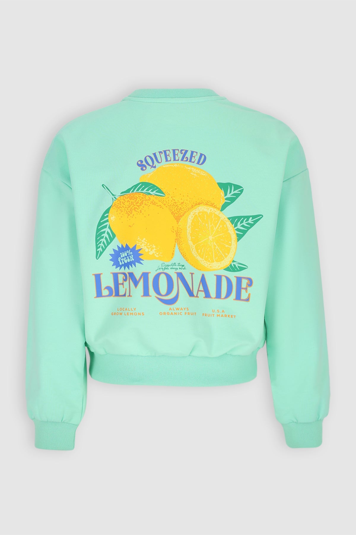 NoBell' Kim Sweater met rugprint Groen