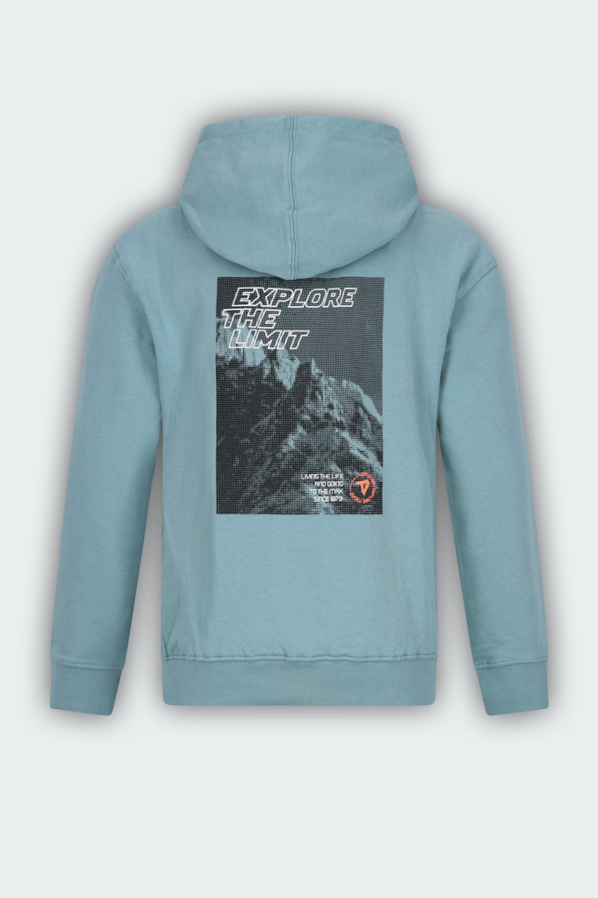 Hoodie Nigel Licht Groen