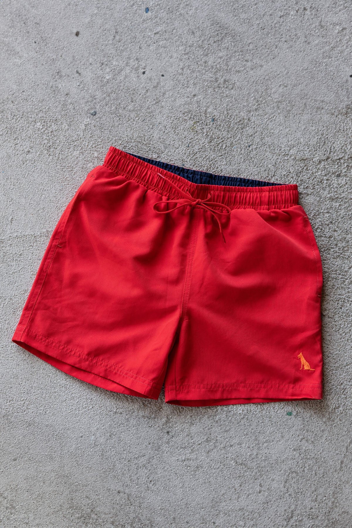 Swimshort Bobby Rood - TYGO&vito