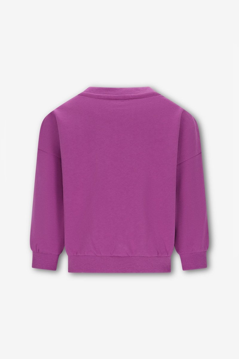 Bille The New Chapter sweater Hyacint Violet - The New Chapter Store