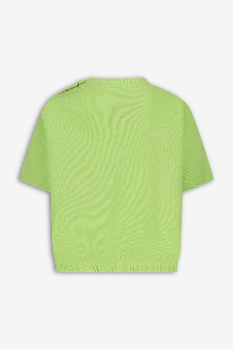 Cesar sweater licht groen Dancing - The New Chapter Store