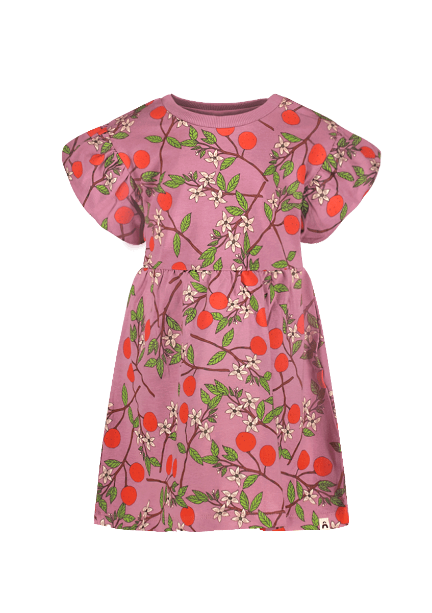 Maan The New Chapter dress pink - The New Chapter Store