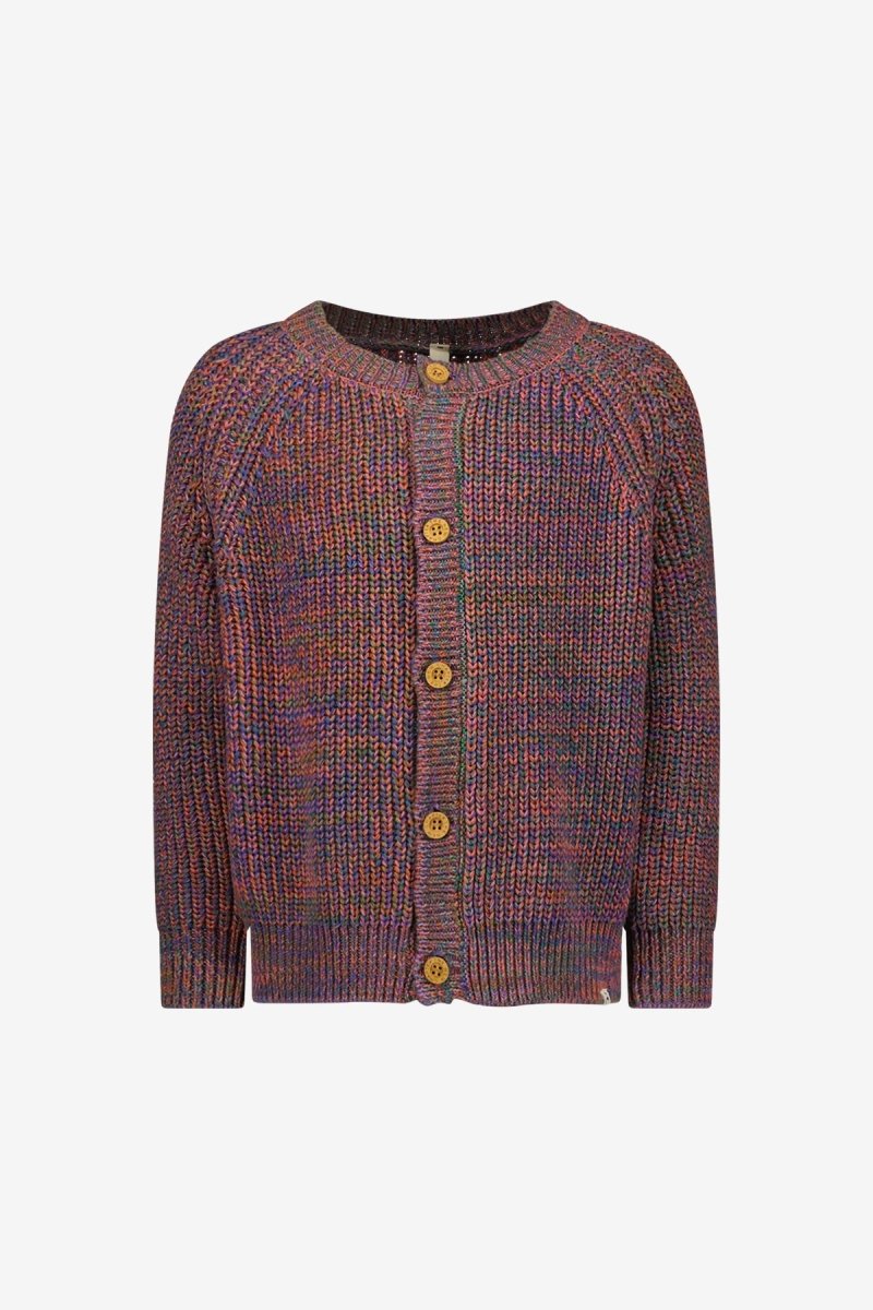 Miles Vest Multi Color Paars - The New Chapter Store