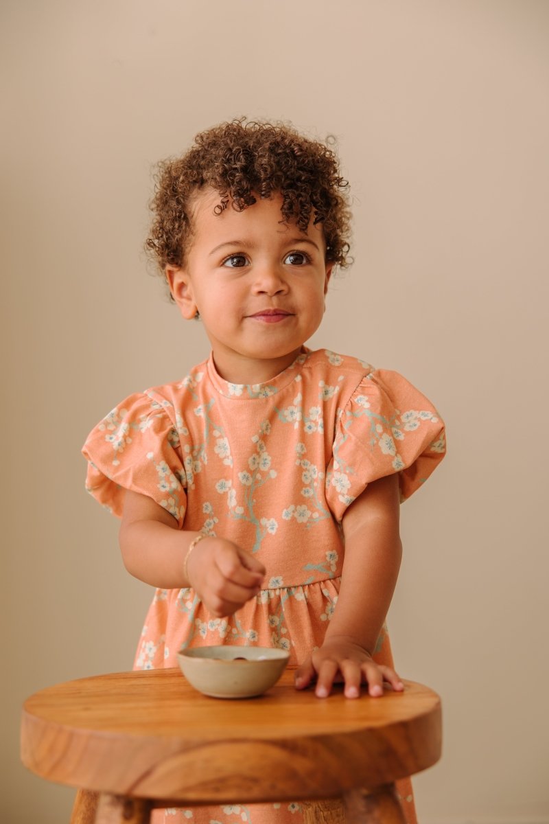 Niene dress peach - The New Chapter Store