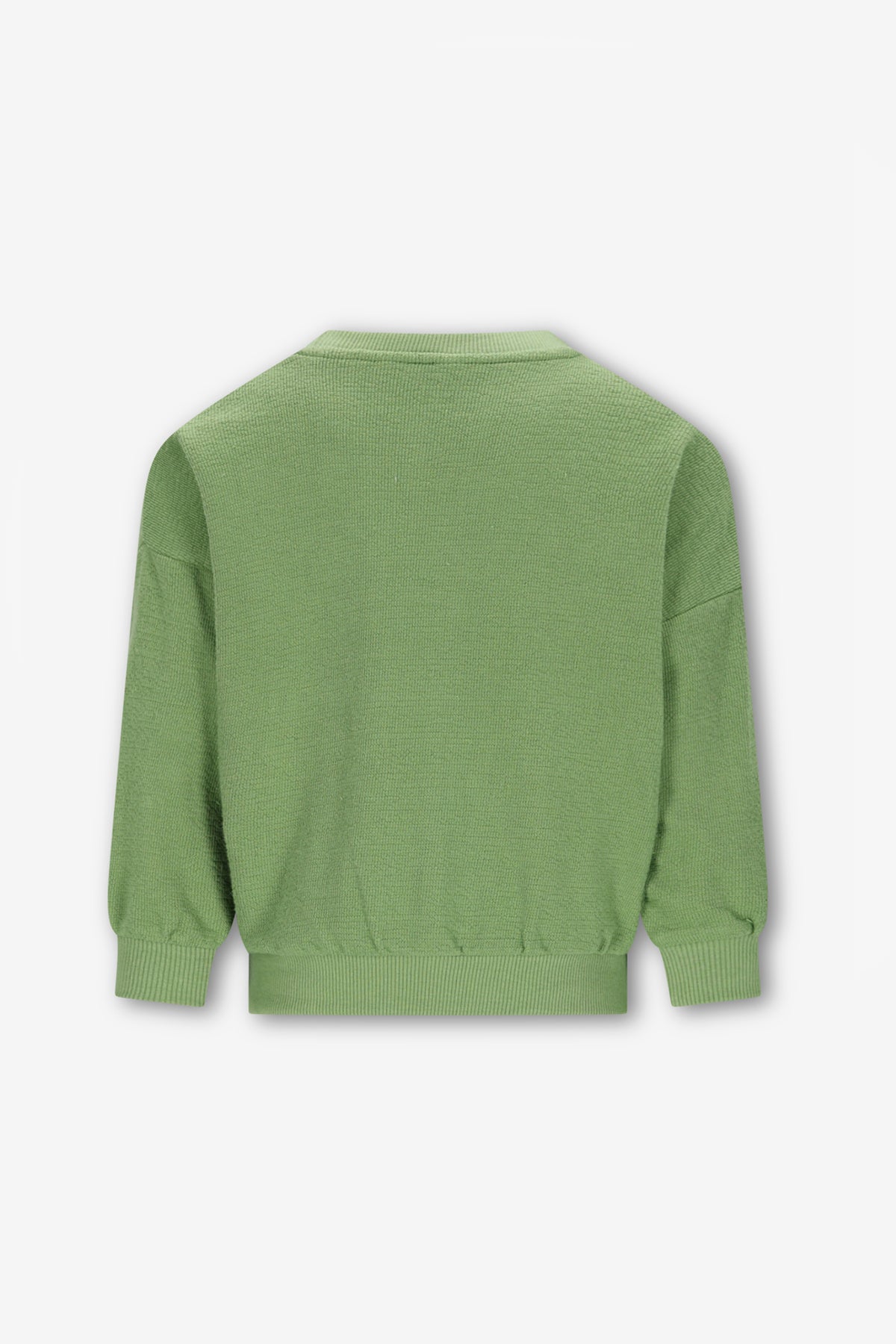 The New Chapter Billie Sweater Lichtgroen