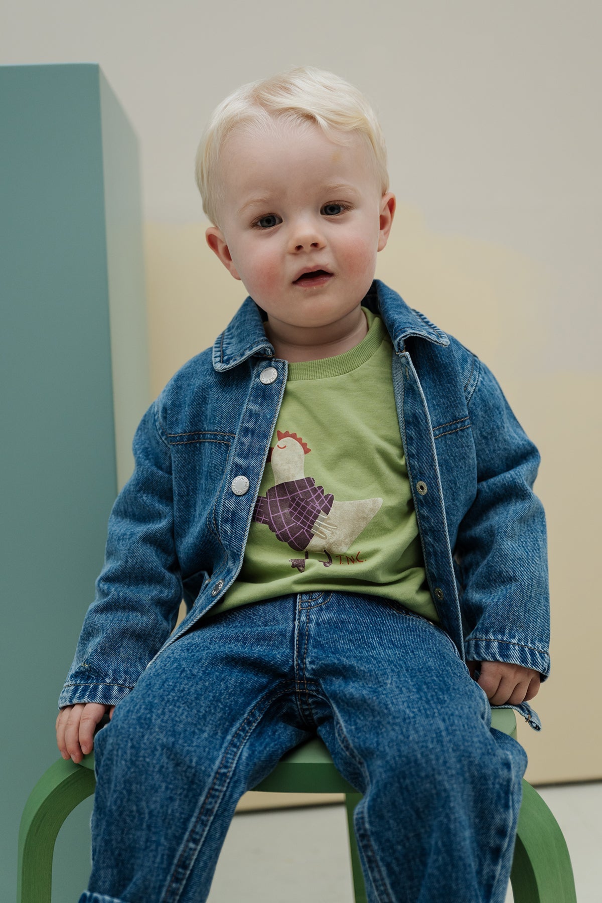 The New Chapter Lou Longsleeve Groen
