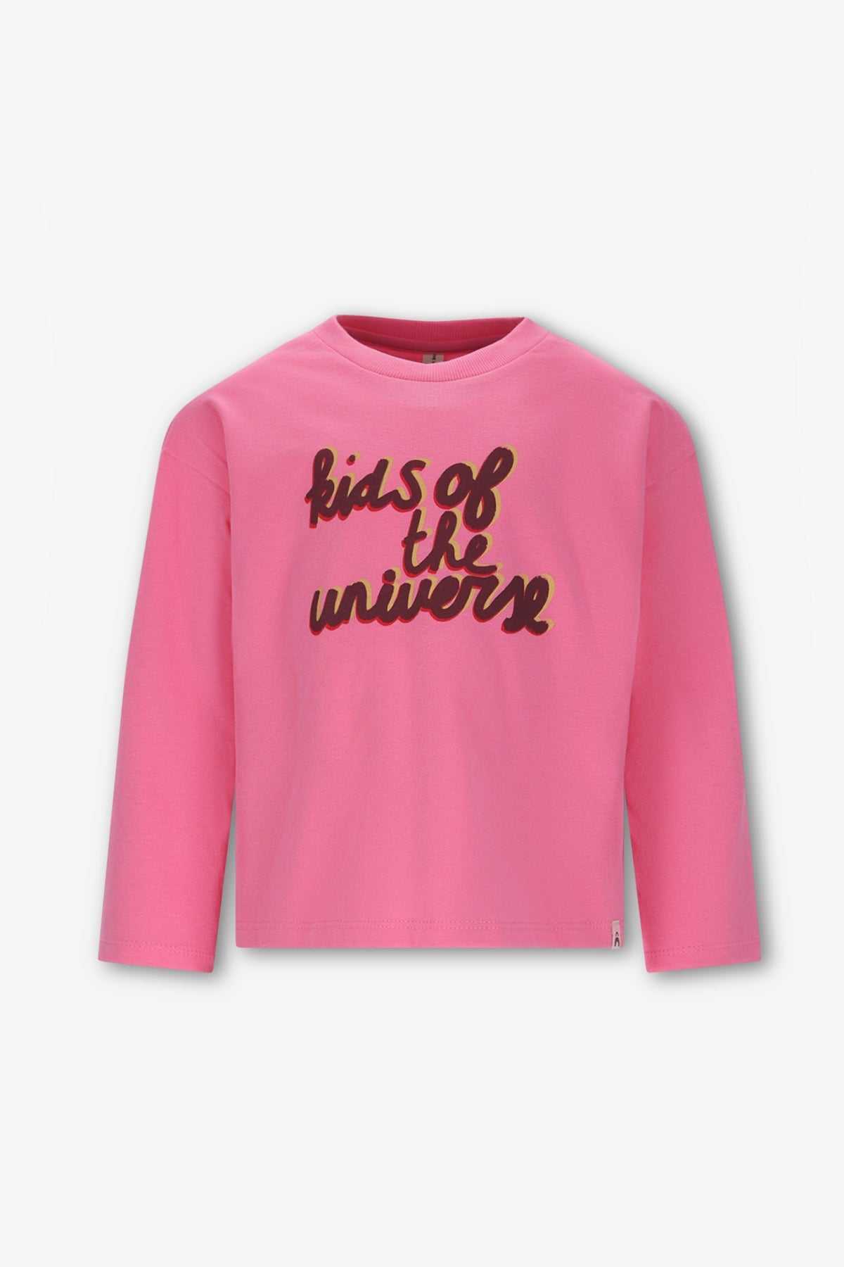 The New Chapter Mattie Longsleeve Roze