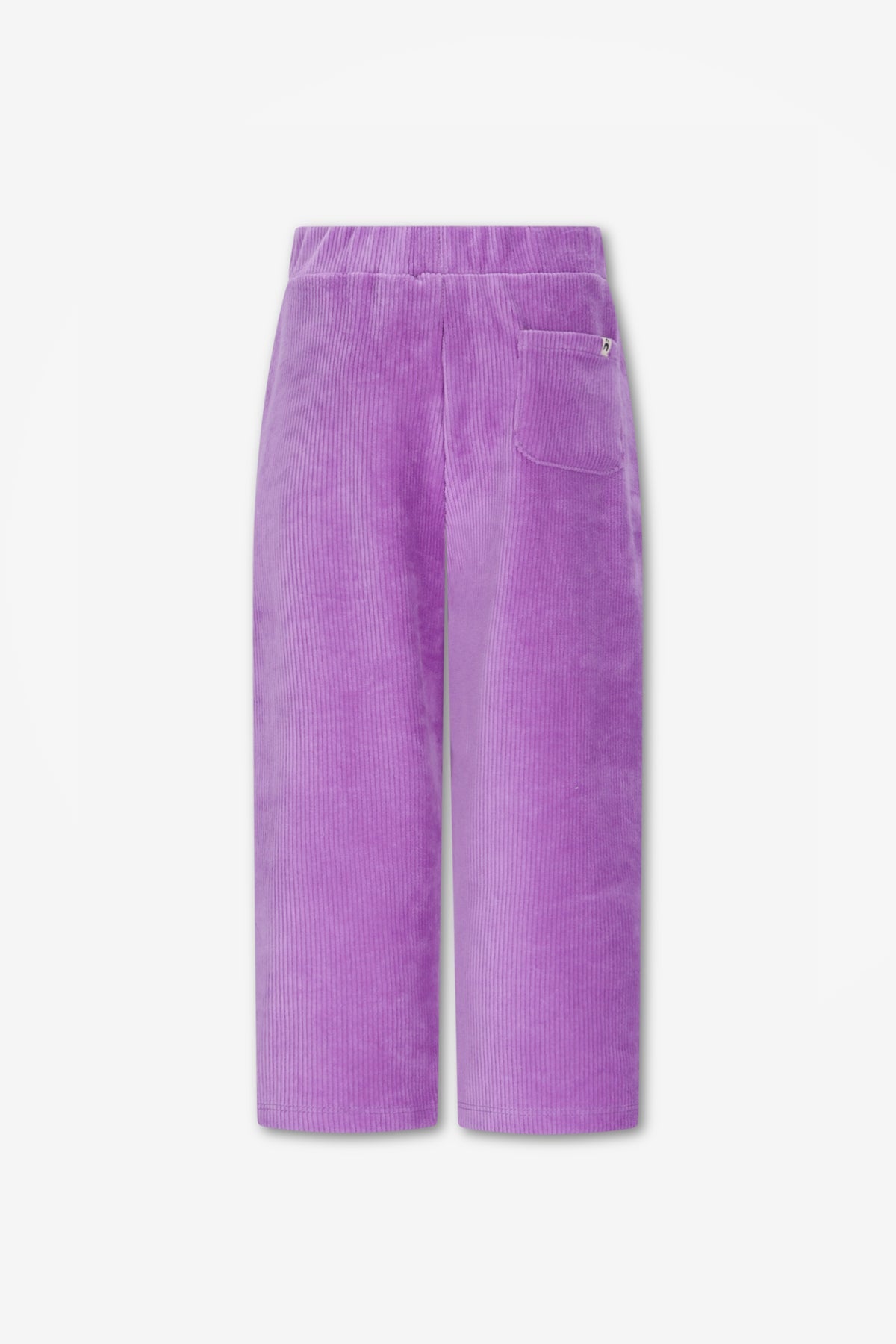 Atlas The New Chapter pants