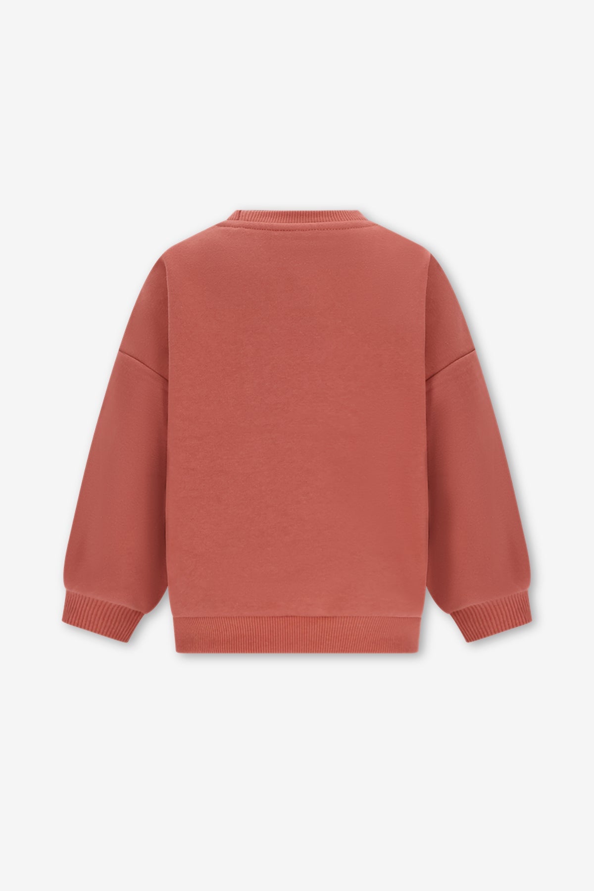 The New Chapter Billie sweater bruin bold colors