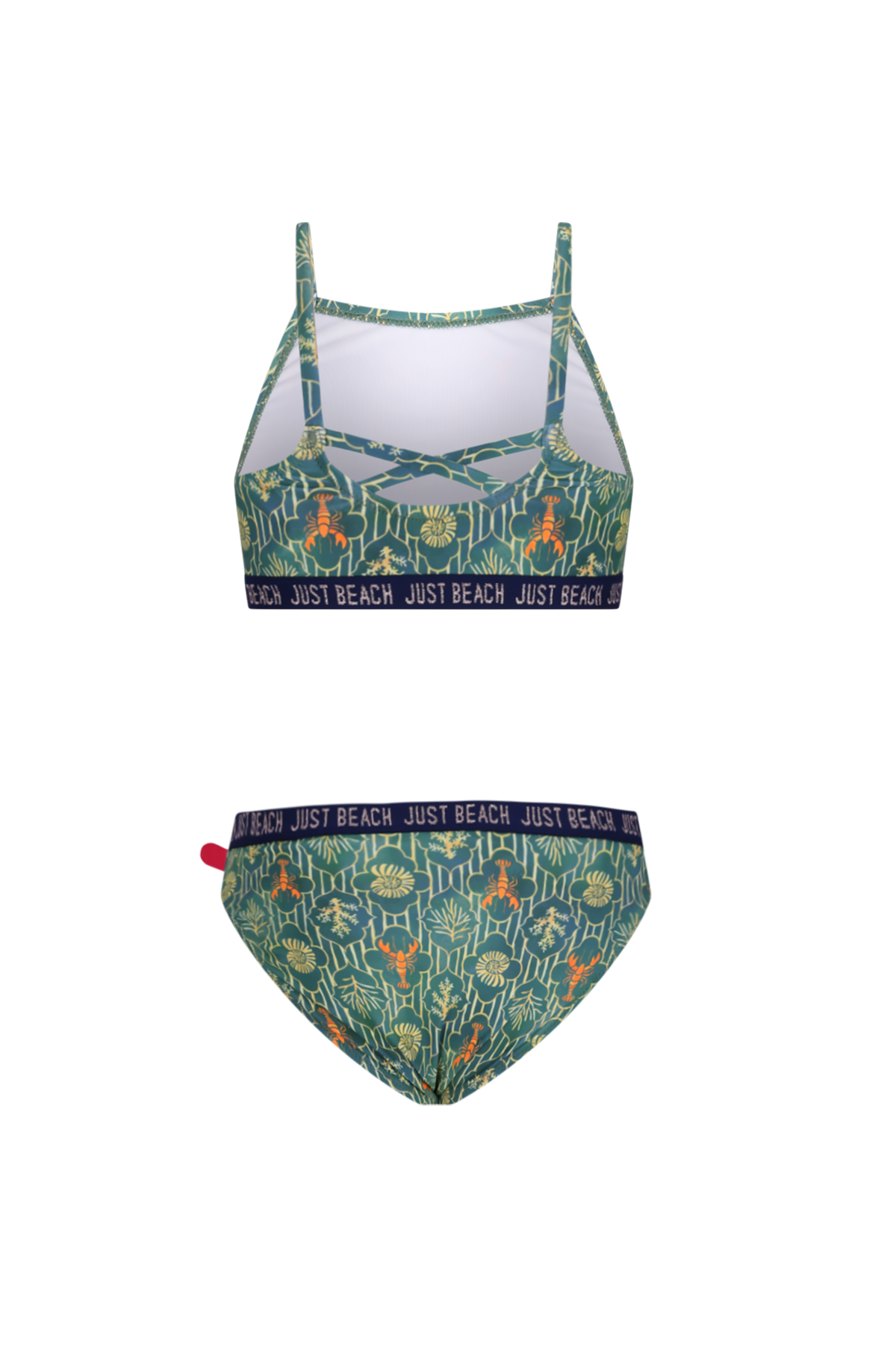 Just Beach Florida bikini Lobster