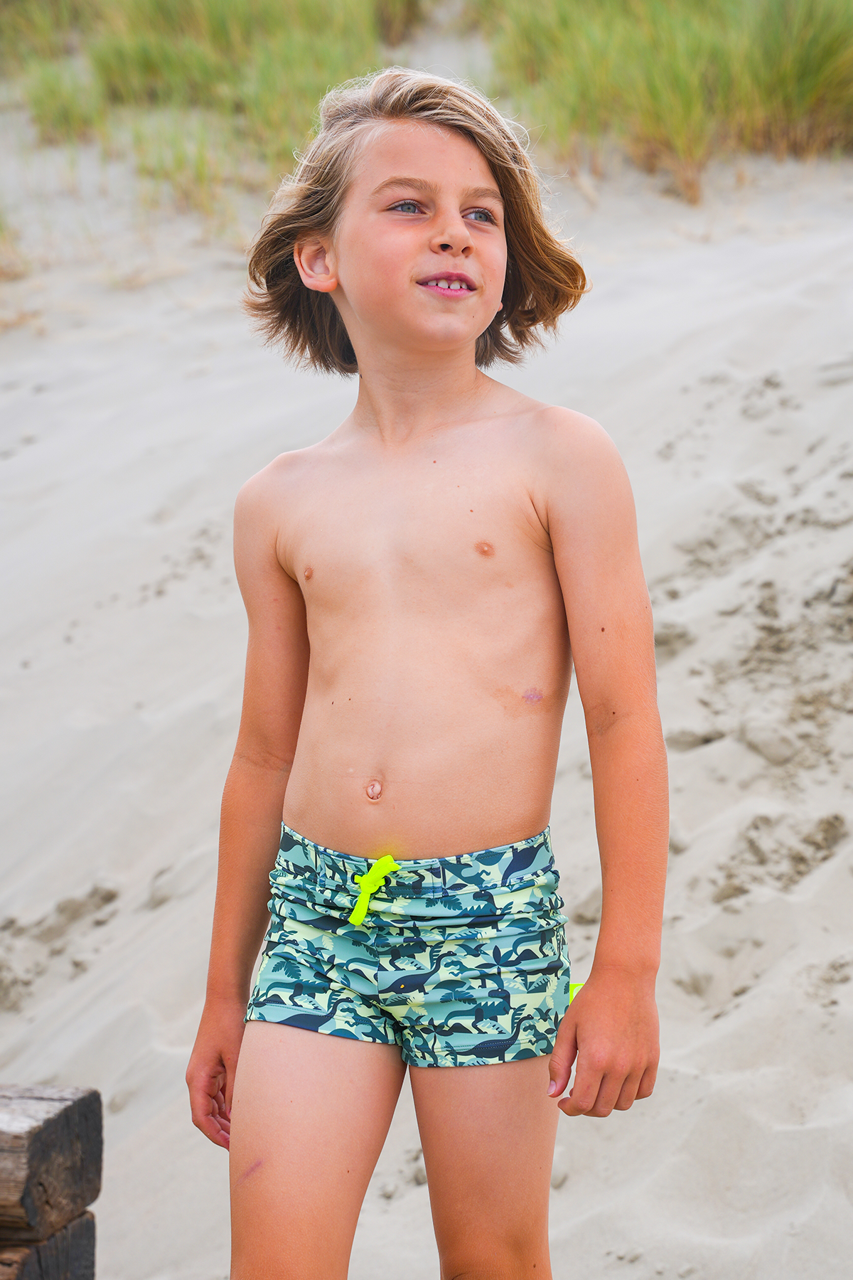 Just Beach Nevada swimShorts Dinosaur