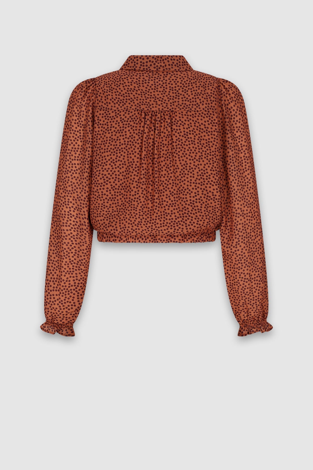 NoBell' Tilly Stippen Blouse Bruin