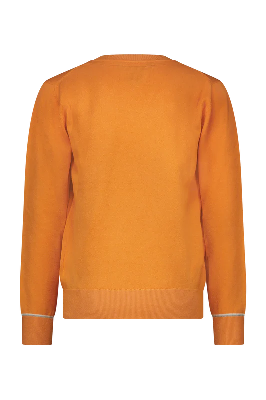 Red&Blu Wim Sweater Mandarin