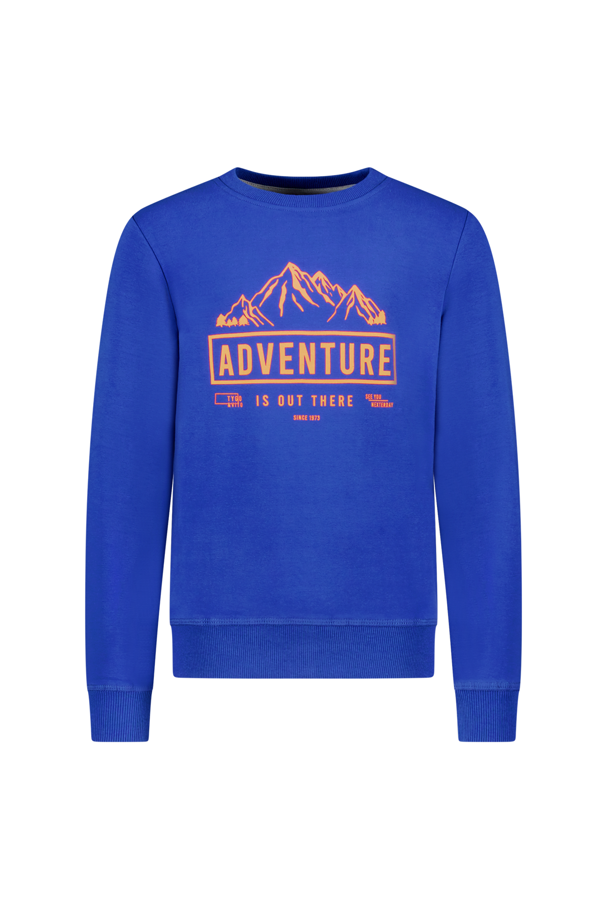 Sweater Sil Cobalt - TYGO&vito