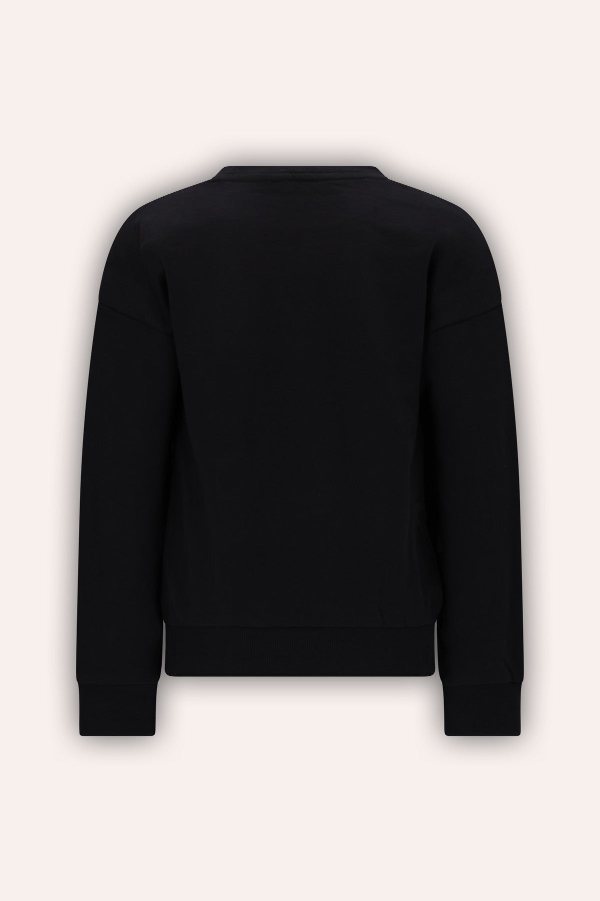 Sweater Sanne Zwart