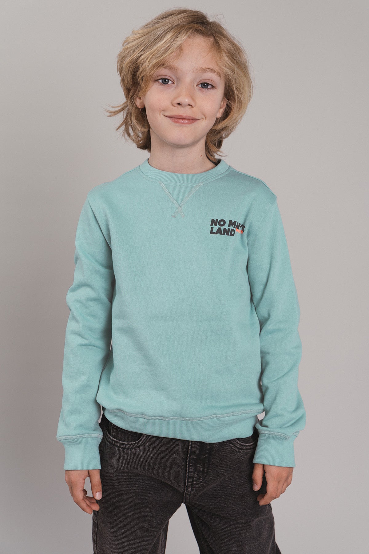 Sweater Silver Lichtgroen