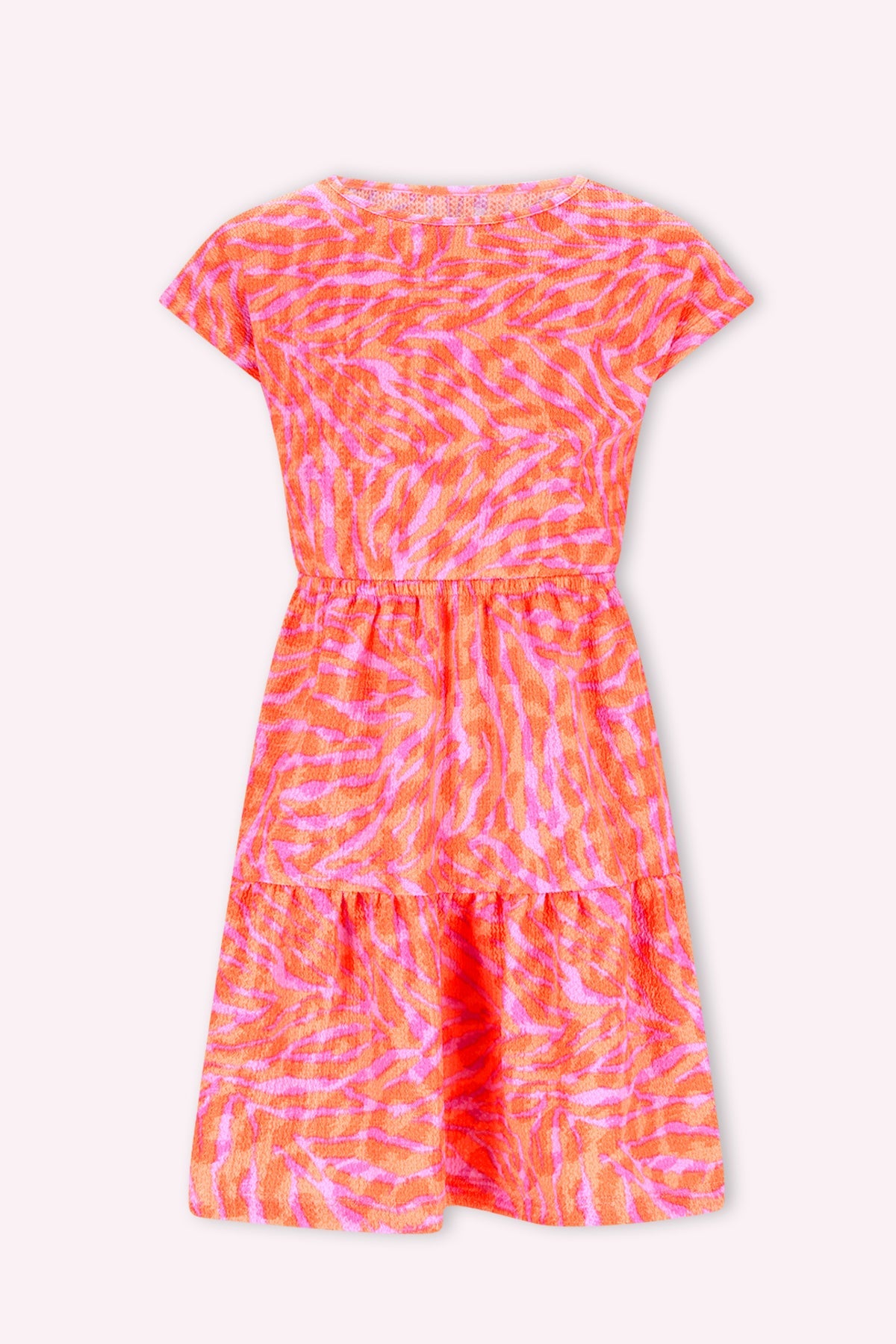 B.Nosy Darla jurk zebra