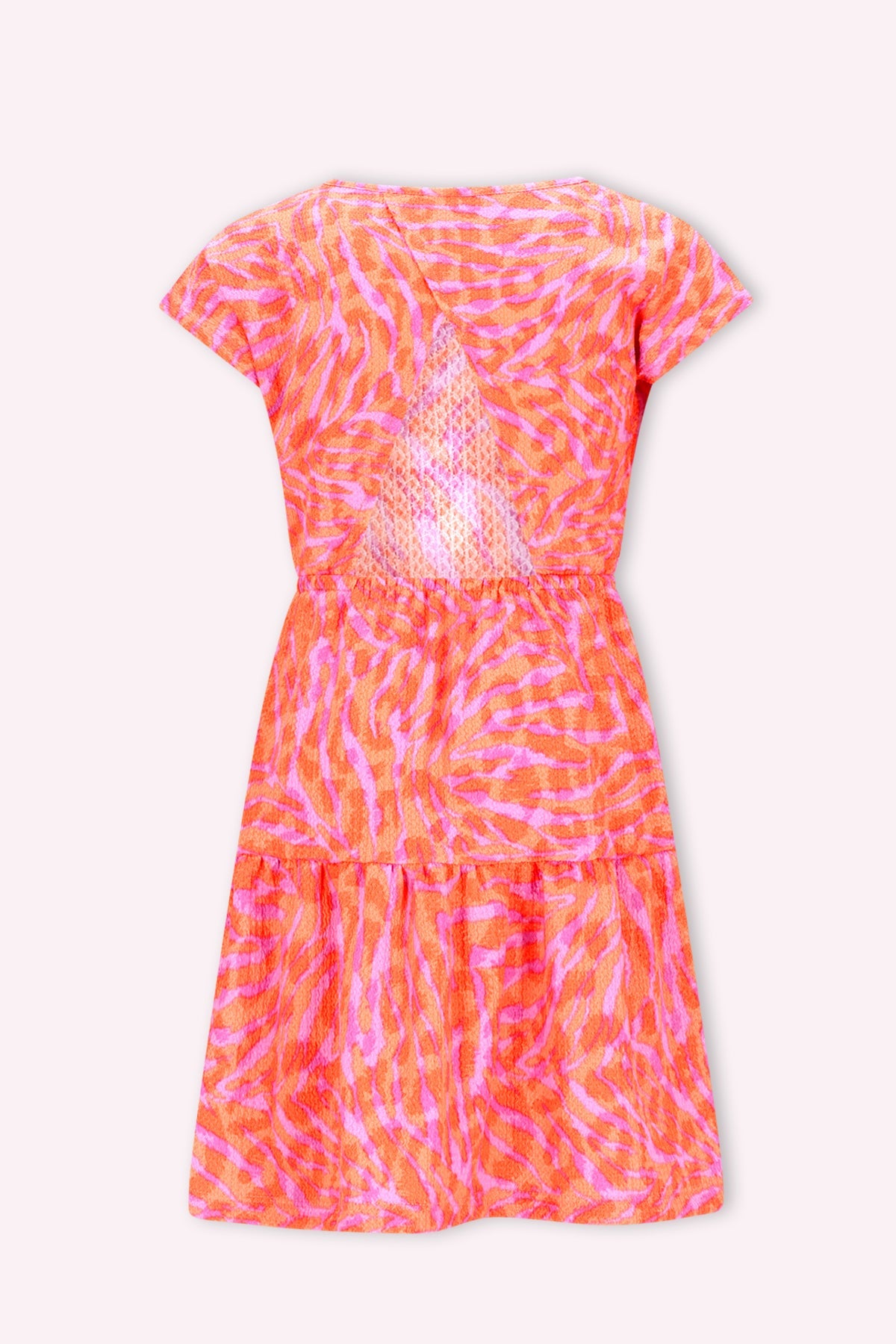 B.Nosy Darla jurk zebra