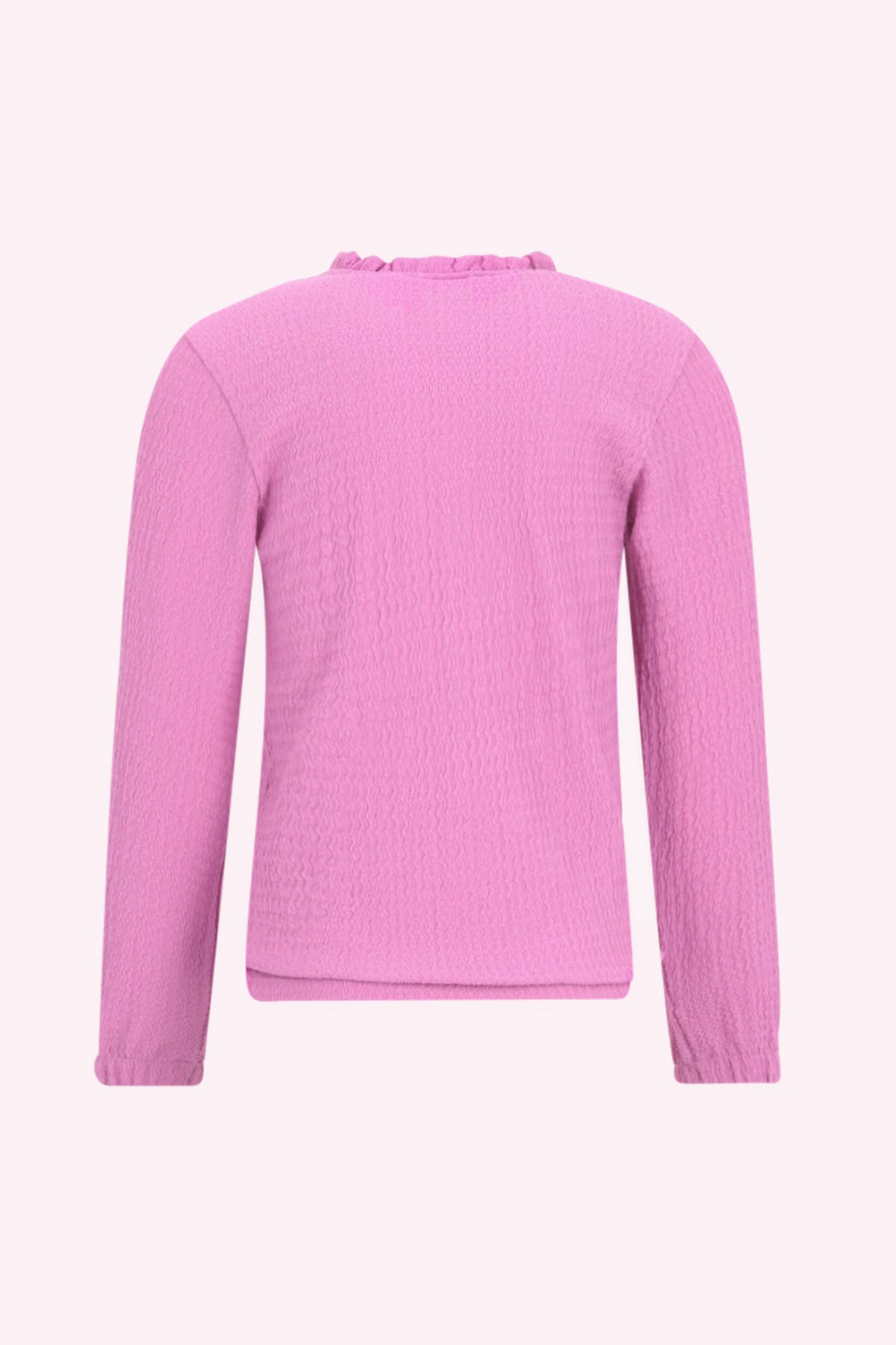 Talia Lange Mouwen Shirt Paars