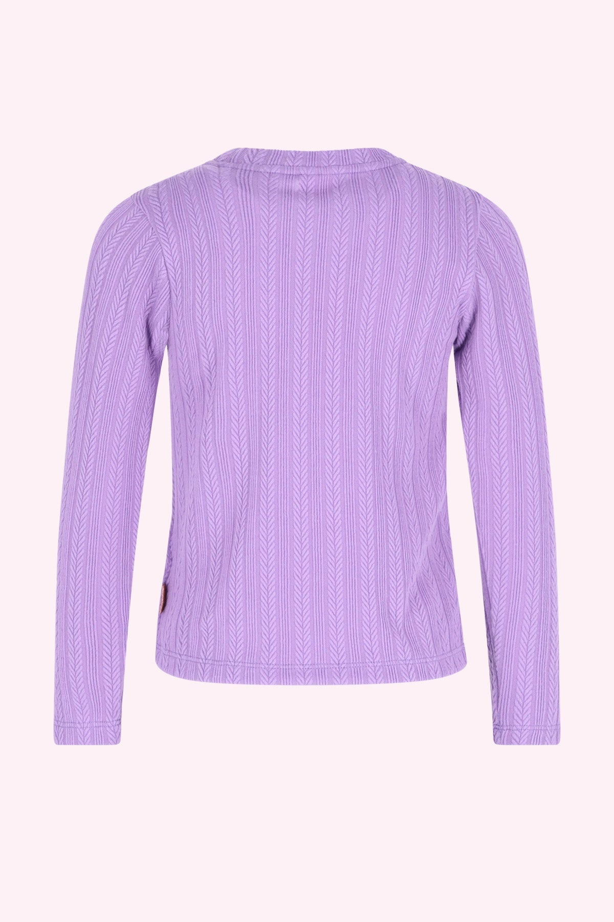 Talli Lange Mouwen Shirt Paars
