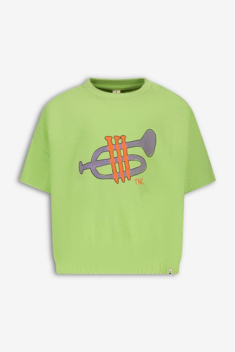 Cesar sweater licht groen Dancing - The New Chapter Store