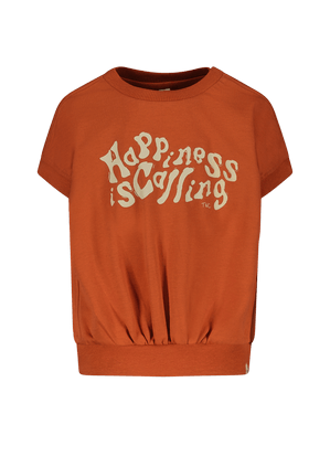 Elijah The New Chapter sweater brown - The New Chapter Store