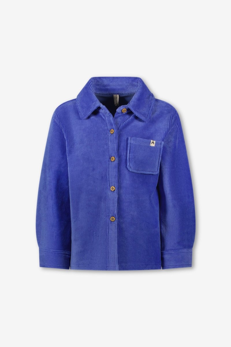 Jagger Blouse Blauw - The New Chapter Store