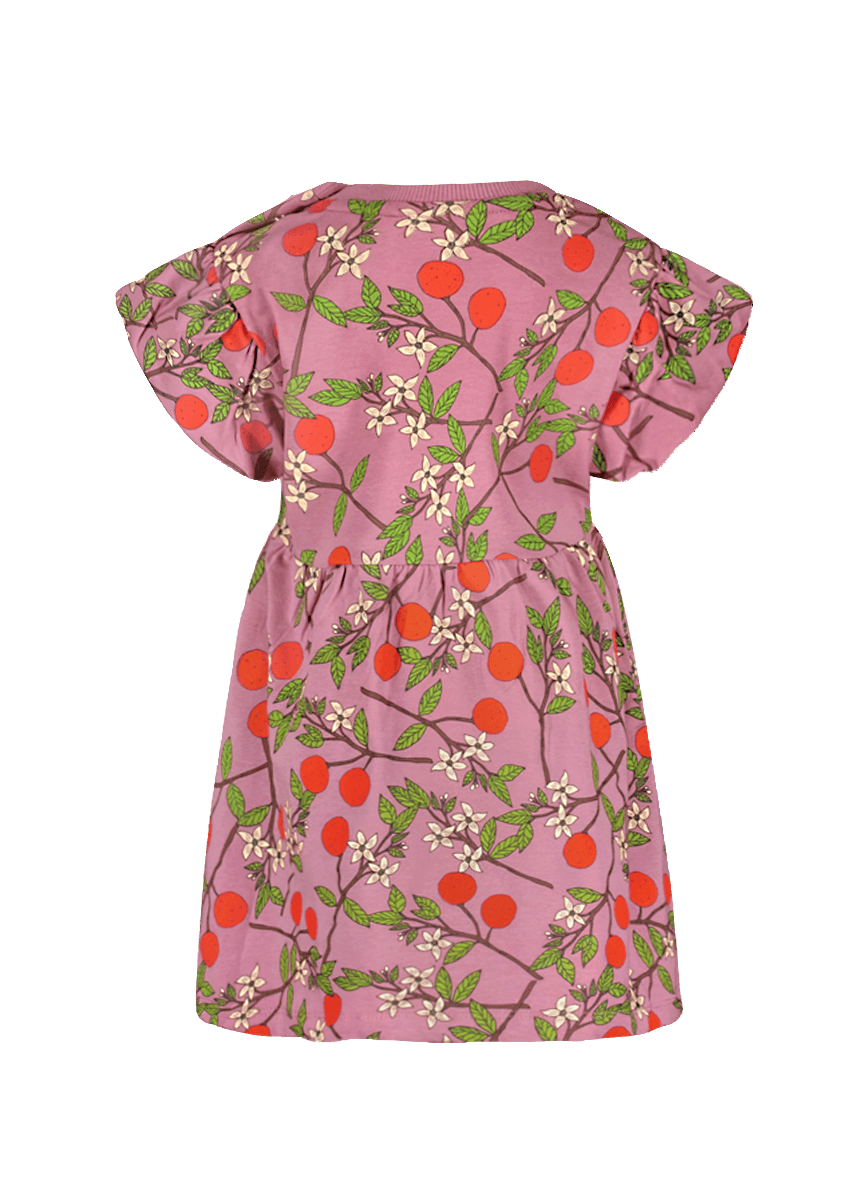 Maan The New Chapter dress pink - The New Chapter Store